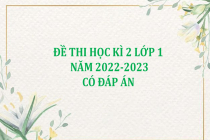 Đề thi học kì 2 lớp 1 năm 2022-2023 (Có đáp án)