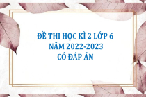 Đề thi học kì 2 lớp 6 năm 2022-2023 (Có đáp án)