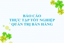Tổng hợp các mẫu báo cáo thực tập tốt nghiệp Quản trị bán hàng đặc sắc nhất