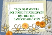 Trọn bộ 45 Module Bồi dưỡng thường xuyên cấp Tiểu học