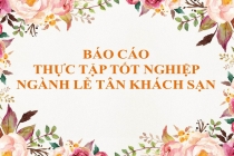 Tuyển chọn 10 báo cáo thực tập tốt nghiệp ngành Lễ tân khách sạn hay nhất