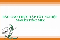 Top 11 báo cáo thực tập tốt nghiệp Marketing Mix hay nhất