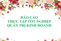 Tuyển chọn 13 báo cáo thực tập tốt nghiệp Quản trị kinh doanh hay nhất