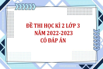 Đề thi học kì 2 lớp 3 năm 2022-2023 (Có đáp án)