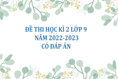 Đề thi học kì 2 lớp 9 năm 2022-2023 (Có đáp án)