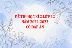 Đề thi học kì 2 lớp 12 năm 2022-2023 (Có đáp án)