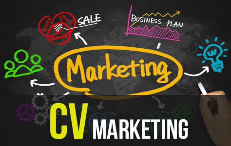 Bộ 70+ CV Marketing